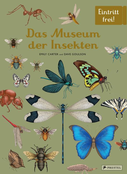 Produktbild Das Museum der Insekten (Deutsch, Emily Carter, Dave Goulson, 2024)
