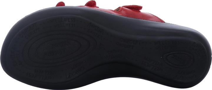Actual product image Westland 16766-69 (40)
