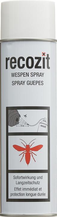 Recozit Wespen Spray (500 ml)