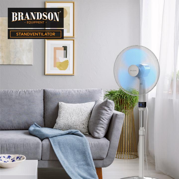 Actual product image Brandson Pedestal fan (45 dB)