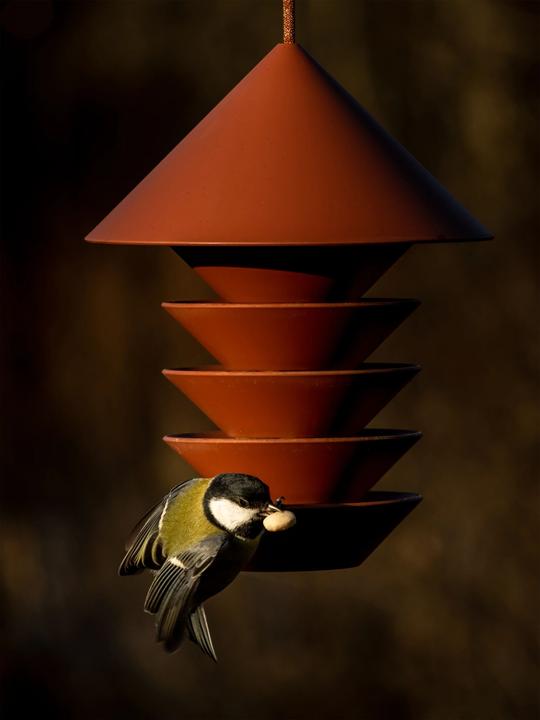 Produktbild Pidät Vogelfutterhaus BIRD SILO bordeaux