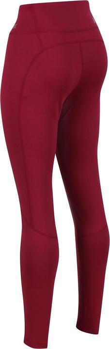 Actual product image Regatta Holeen Ii Leggings (36)