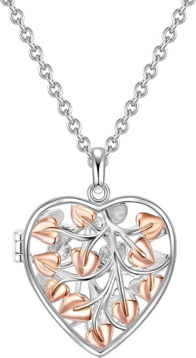 Rafaela Donata Damen Herz Sterling Silber silber/roségold 42,0 cm Basiskette + 7,0 cm Verlängerung - 11706 (Sterling Silber, 42 - 49 cm)