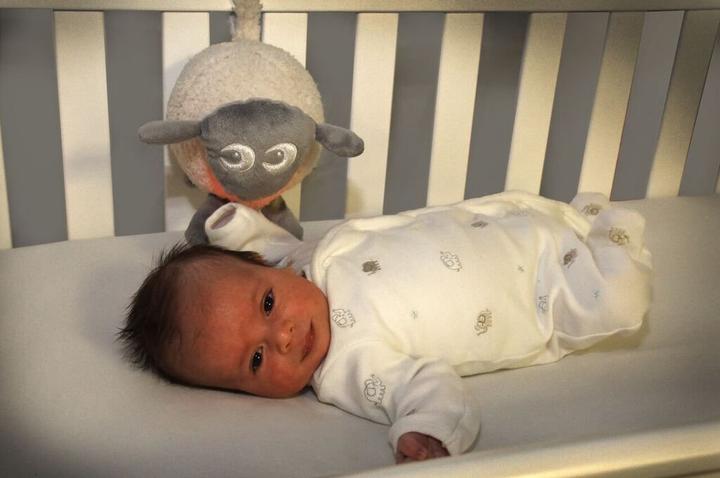Actual product image Sweet Dreamers Ewan the dream sheep (17 cm)