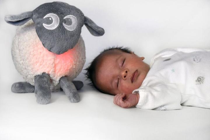 Actual product image Sweet Dreamers Ewan the dream sheep (17 cm)