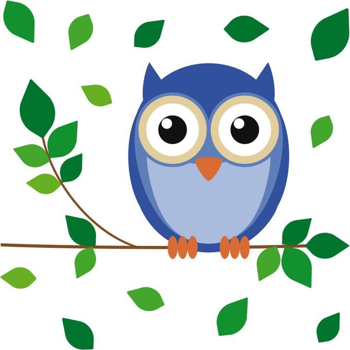 Image du produit Trenddeko Hibou Einstein (70 x 70 cm)