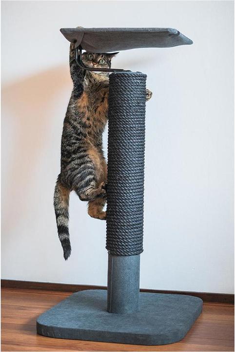 Actual product image Laroy Group Ebi Scratching Post Iwaki (92 cm, Dark grey)