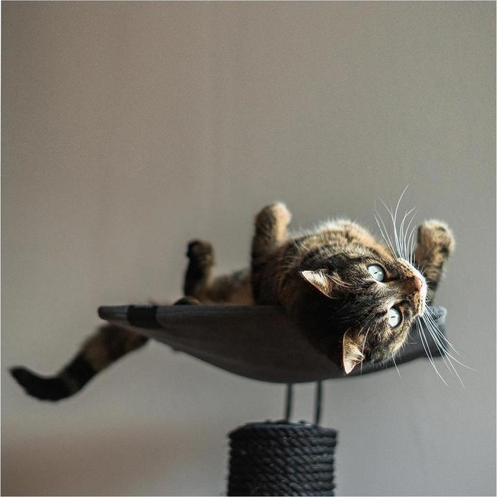 Actual product image Laroy Group Ebi Scratching Post Iwaki (92 cm, Dark grey)