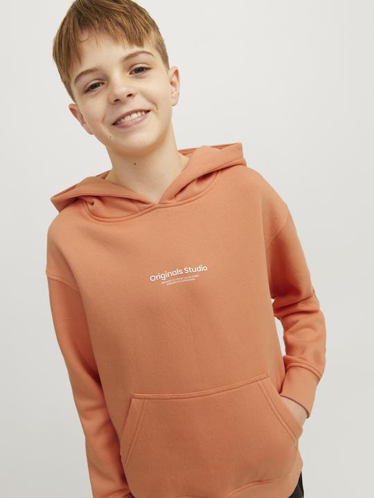 Actual product image Jack & Jones Hoodie (152)
