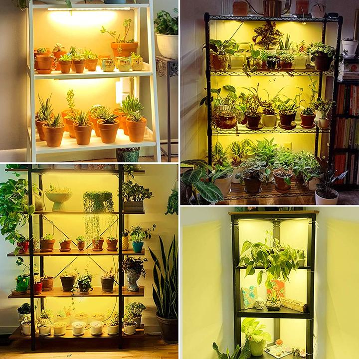 Produktbild Relassy Pflanzenlampe LED (LED)