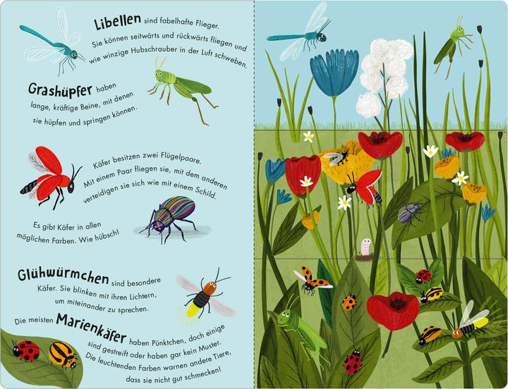 Produktbild Bienen & Käfer – Ein Klipp-Klapp-Buch über Krabbeltiere (Deutsch, Molly Littleboy, 2025)