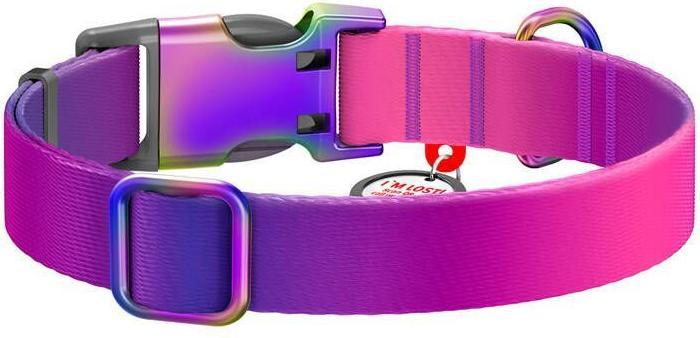 Actual product image Collar Waudog gradient nylon dog with QR code, purple, size M (M, Dog, General)