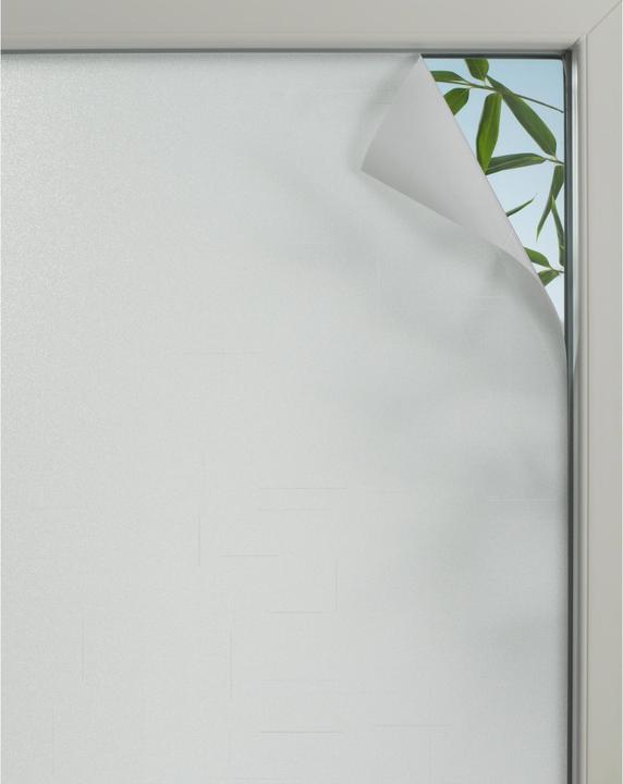 Gardinia Statistiques (90 x 150 cm)