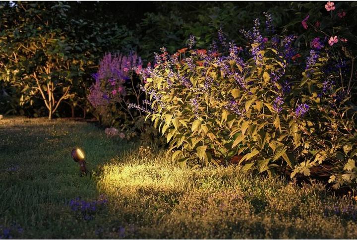 Image du produit Paulmann Sting Spot Insect Friendly (580 lm, IP67)