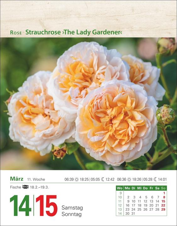 Produktbild Harenberg Mein Garten Tagesabreisskalender 2026 - Praktische Tipps für 2026 (Deutsch)