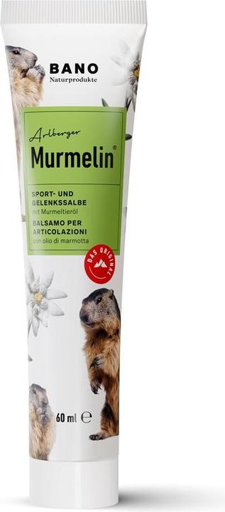Actual product image Murmelin Sports and joint ointment ointment (1 x, 60 ml)