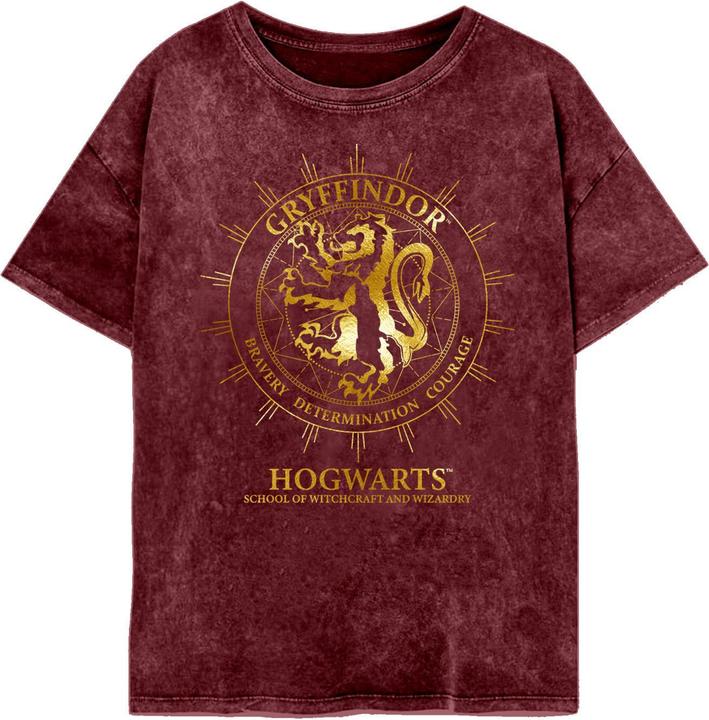Gryffindor Constellation TShirt