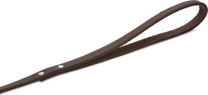 Actual product image Beeztees BZ LEATHER LEASH BROWN 165X12 (Dog)