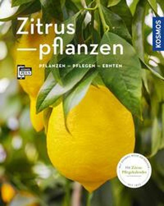 Produktbild Kosmos Zitruspflanzen (Deutsch, Dominik Grosse Holtforth, 2020)