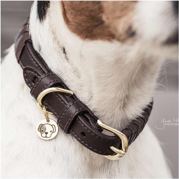 Produktbild Kentucky Dogwear Hundehalsband Triangle (S, Hund, Allgemein)