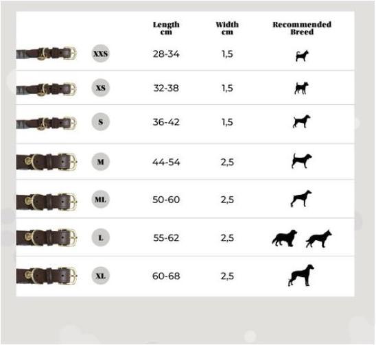 Produktbild Kentucky Dogwear Hundehalsband Triangle (S, Hund, Allgemein)