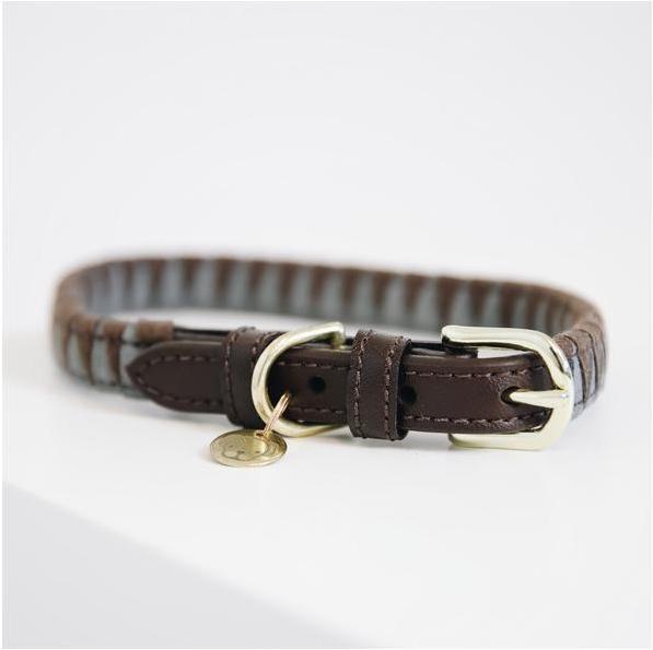 Produktbild Kentucky Dogwear Hundehalsband Triangle (S, Hund, Allgemein)