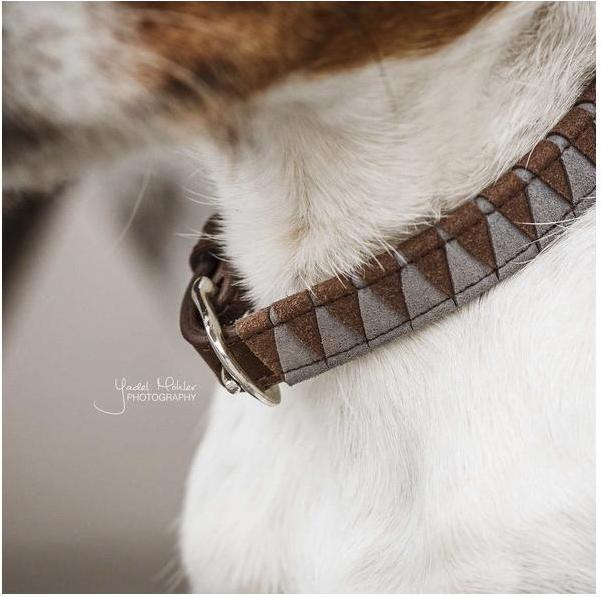 Produktbild Kentucky Dogwear Hundehalsband Triangle (S, Hund, Allgemein)