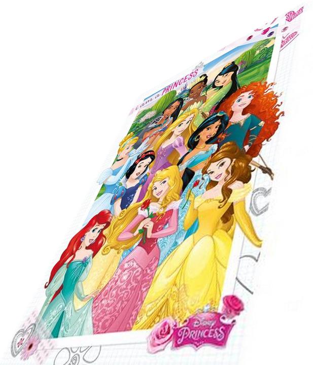 Image du produit Disney Princess Poster (61 x 91 cm)