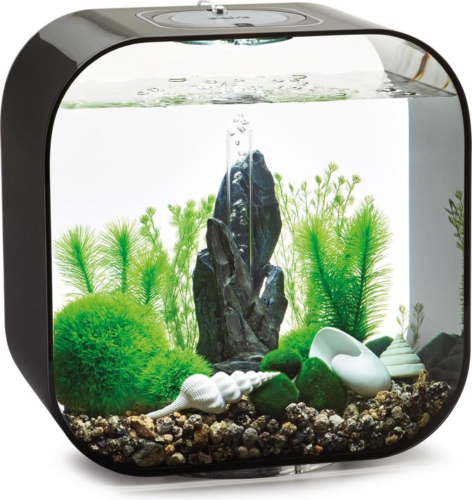 Actual product image Oase biOrb Aquarium 30 Decor Set (Embellishment, other buildings)