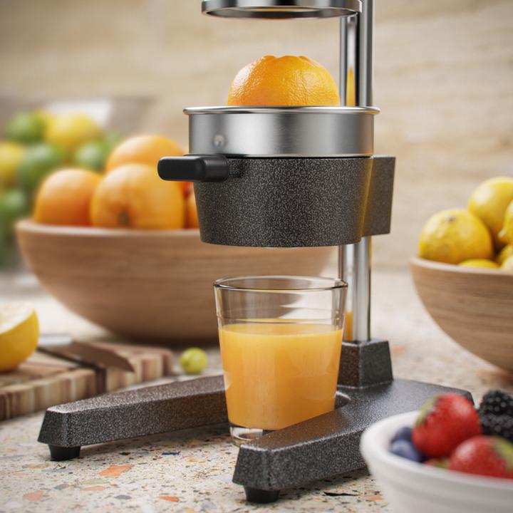 Produktbild Arendo Saftpresse