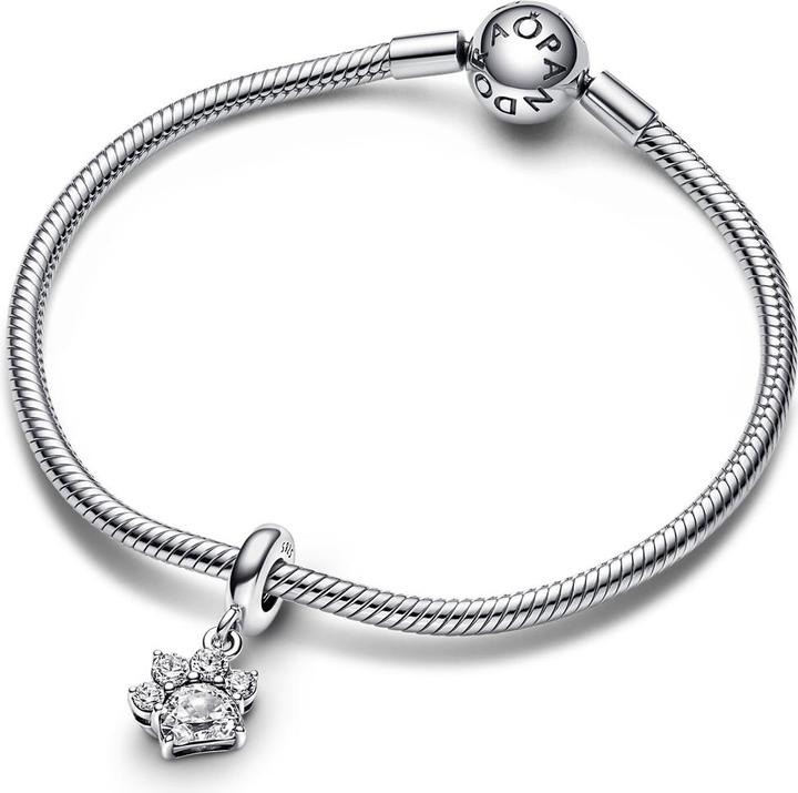 Image du produit Pandora Patte avec pierre (Argent sterling 925)