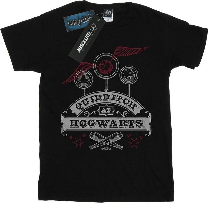 Quidditch At Hogwarts Boyfriend Fit TShirt (M)