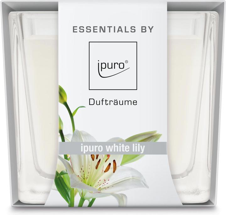 Essentials by ipuro