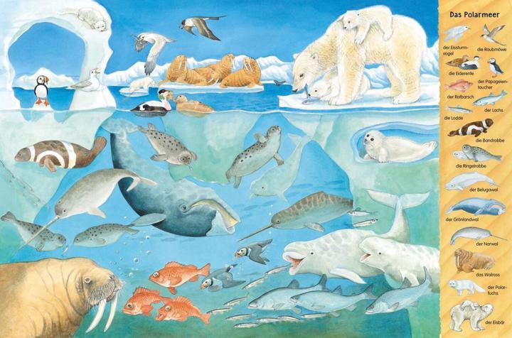 Productafbeelding Mein grosses Tiere-Wimmelbuch (Duits, Christine Henkel, 2021)