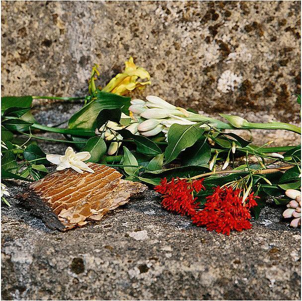 Actual product image Gucci Profumo di Fiori Eau de Parfum (Eau de parfum, 231 ml)