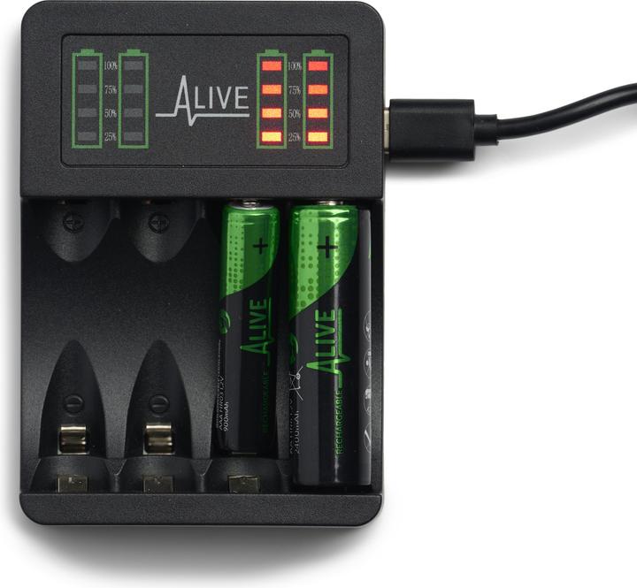 Produktbild Batterieladegerät (1 Stk., Ladegerät ohne Akku)