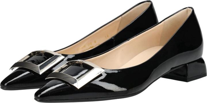 Image du produit Högl Pumps (39)