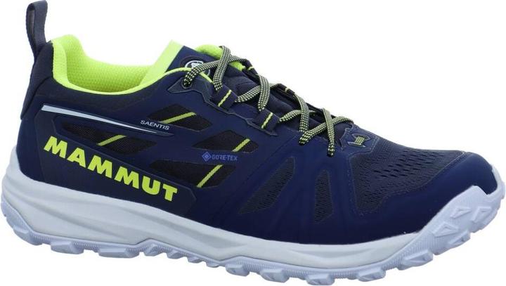 Produktbild Mammut Saentis Low GTX Men (47 1/3)