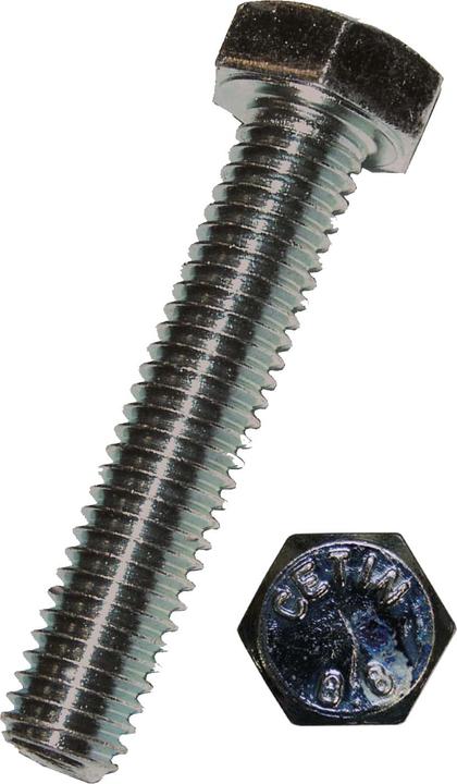 Actual product image Werkstarck Hexagon head screws (100 Screws per piece)