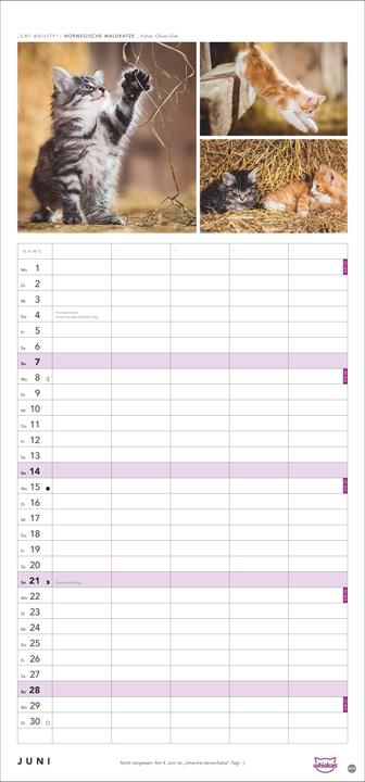Image du produit Whiskas'Cattitude'Familienplaner2026 (21 x 45 cm, Couverture rigide, Allemand)