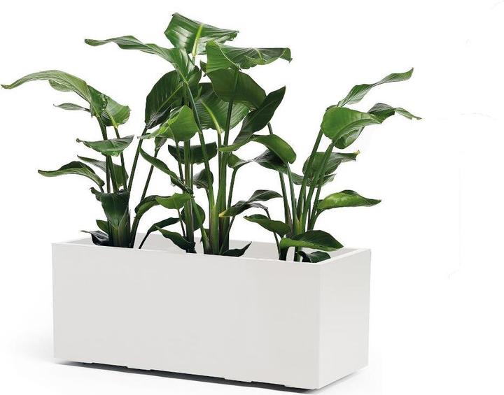 Image du produit Euro3plast Kebe (39.50 cm)