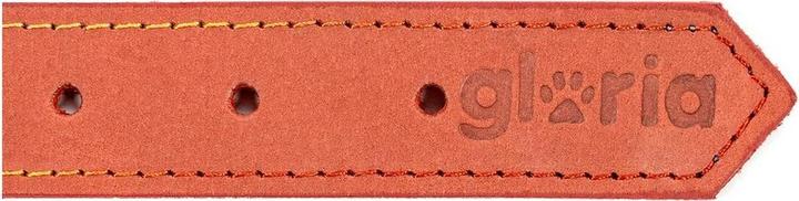 Produktbild Gloria Hundehalsband Oasis Rot 65 cm (65 x 3 cm) (3 cm)