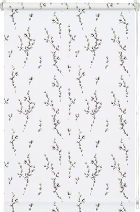 Actual product image Gardinia EASYFIX roller blind Digiprint willow kitten (70 x 150 cm)