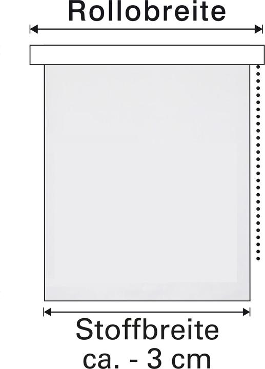 Actual product image Gardinia EASYFIX roller blind Digiprint willow kitten (70 x 150 cm)