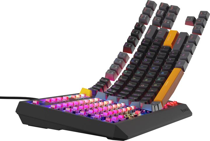 Actual product image Genesis Thor 230 TKL Anchor Gray Positive RGB Outemu Red (US, Cable)