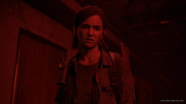 Immagine prodotto Sony The Last of Us Part II Edizione Standard (EN/RU) PS4 (PS4, DE)