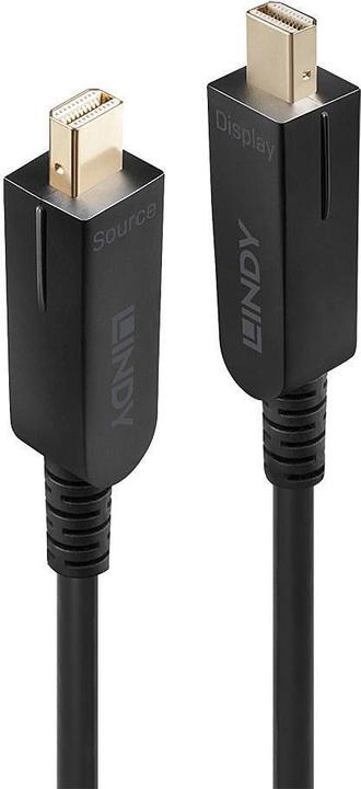 Image du produit Lindy Mini DisplayPort/DisplayPort - Mini DisplayPort/DisplayPort (10 m, DisplayPort)
