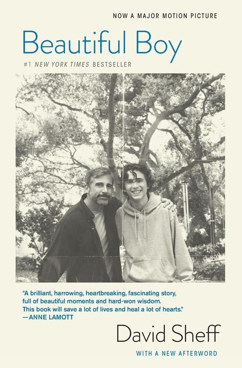 Produktbild Beautiful Boy (Tie-In): A Father's Journey Through His Son's Addiction (Englisch, David Sheff, 2018)