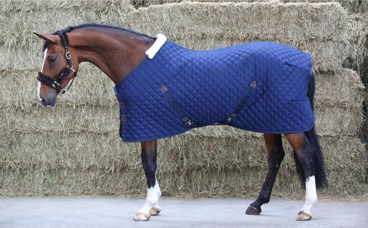 Image du produit Kentucky Horsewear Couverture d'écurie 400g (140 cm)