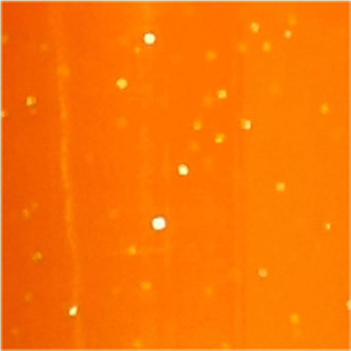 Immagine prodotto Creativ Company Matita per pittura in vetro/porcellana (Arancia, 4 mm, 1 x)